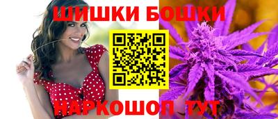 индика Ирбит