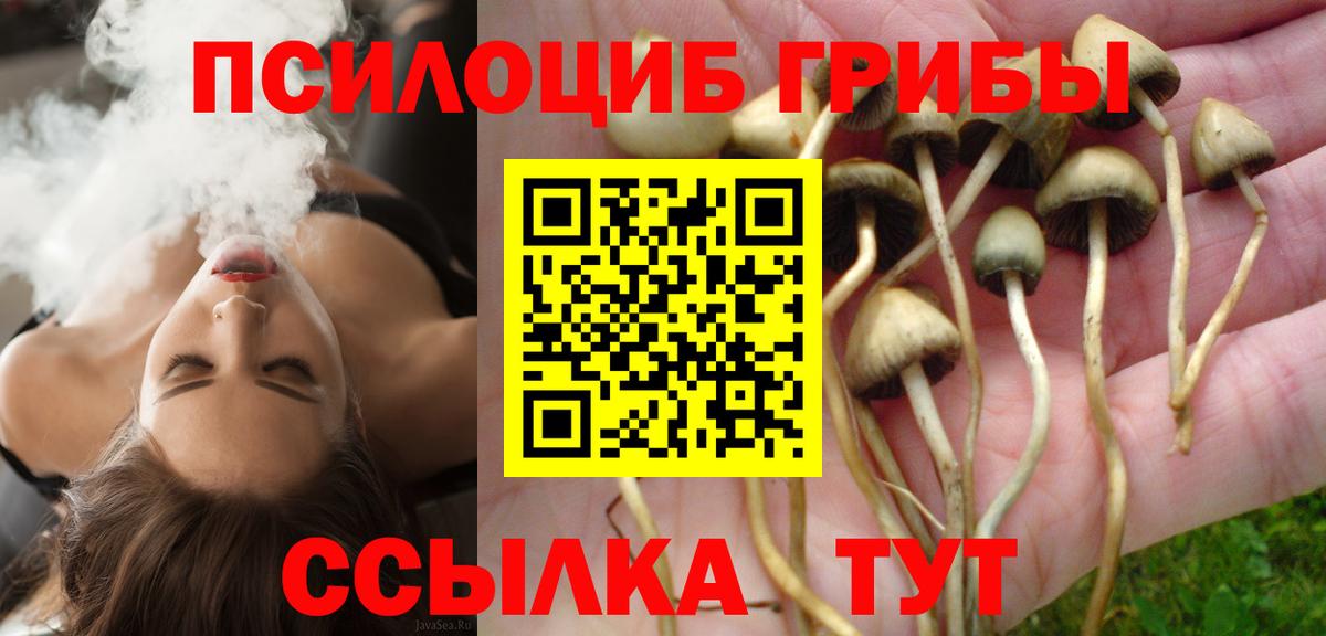 Дедовск  Галлюциногенные грибы Magic Shrooms  как найти наркотики  Вход с VPN 
